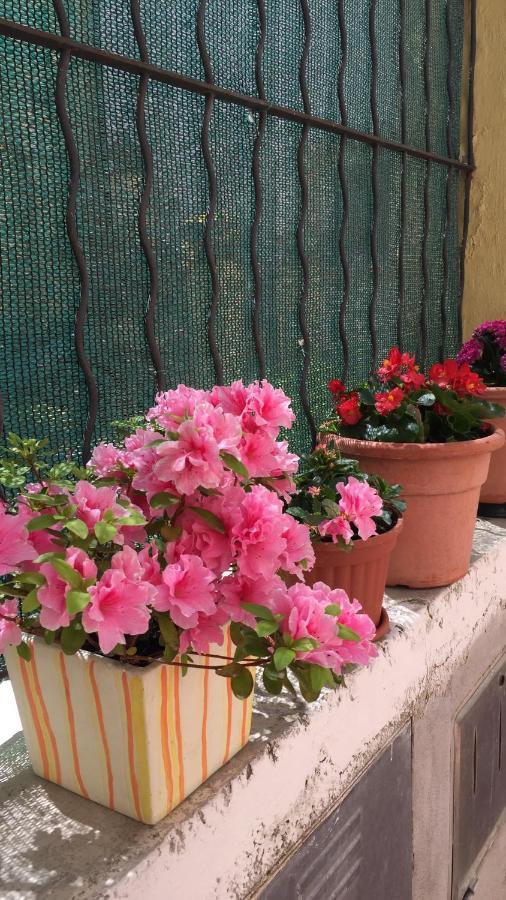 לנצ'יאנו B&B Le Campanelle מראה חיצוני תמונה